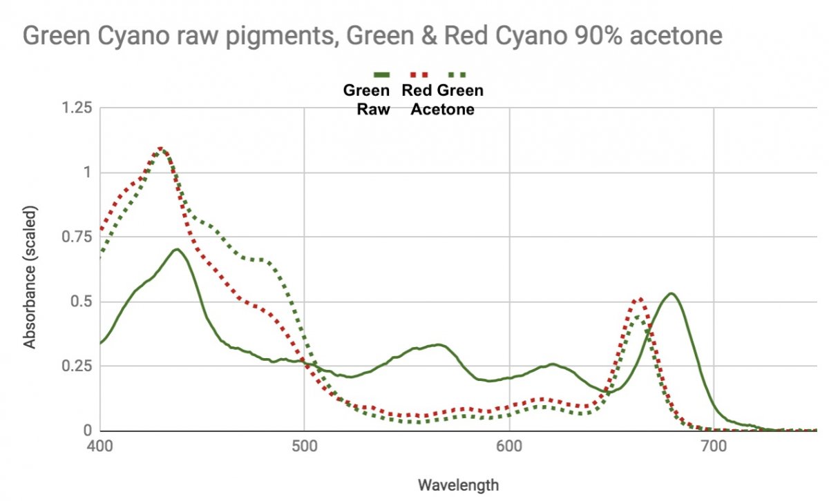 Cyano comparison Acetone vs Raw.jpg