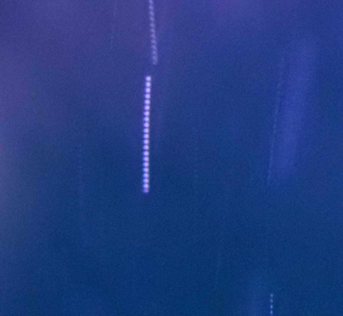 cyano4.jpg