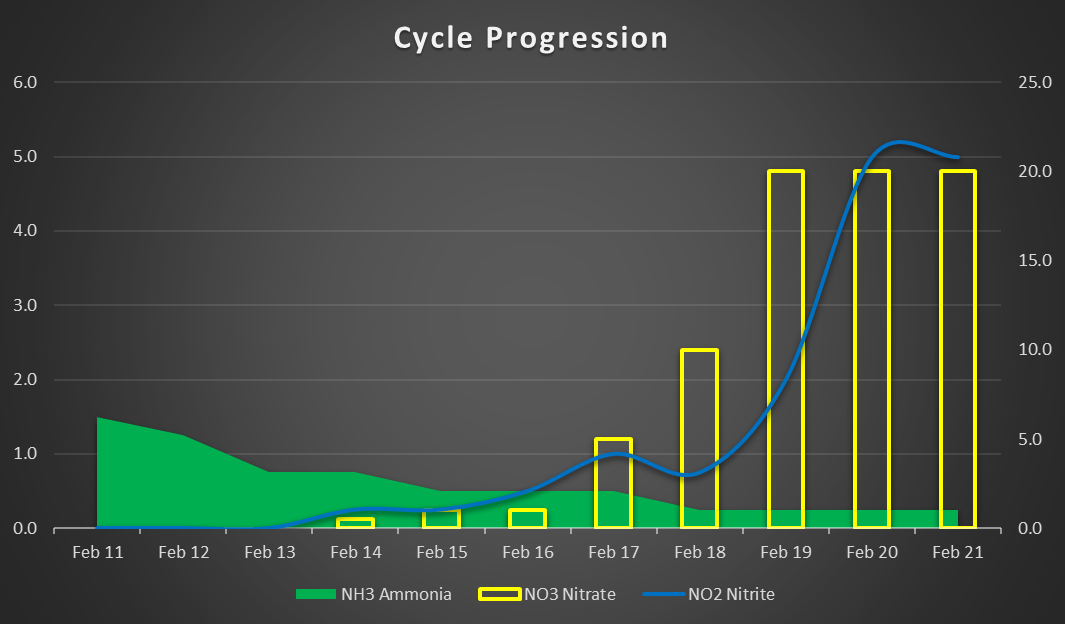 Cycle.png