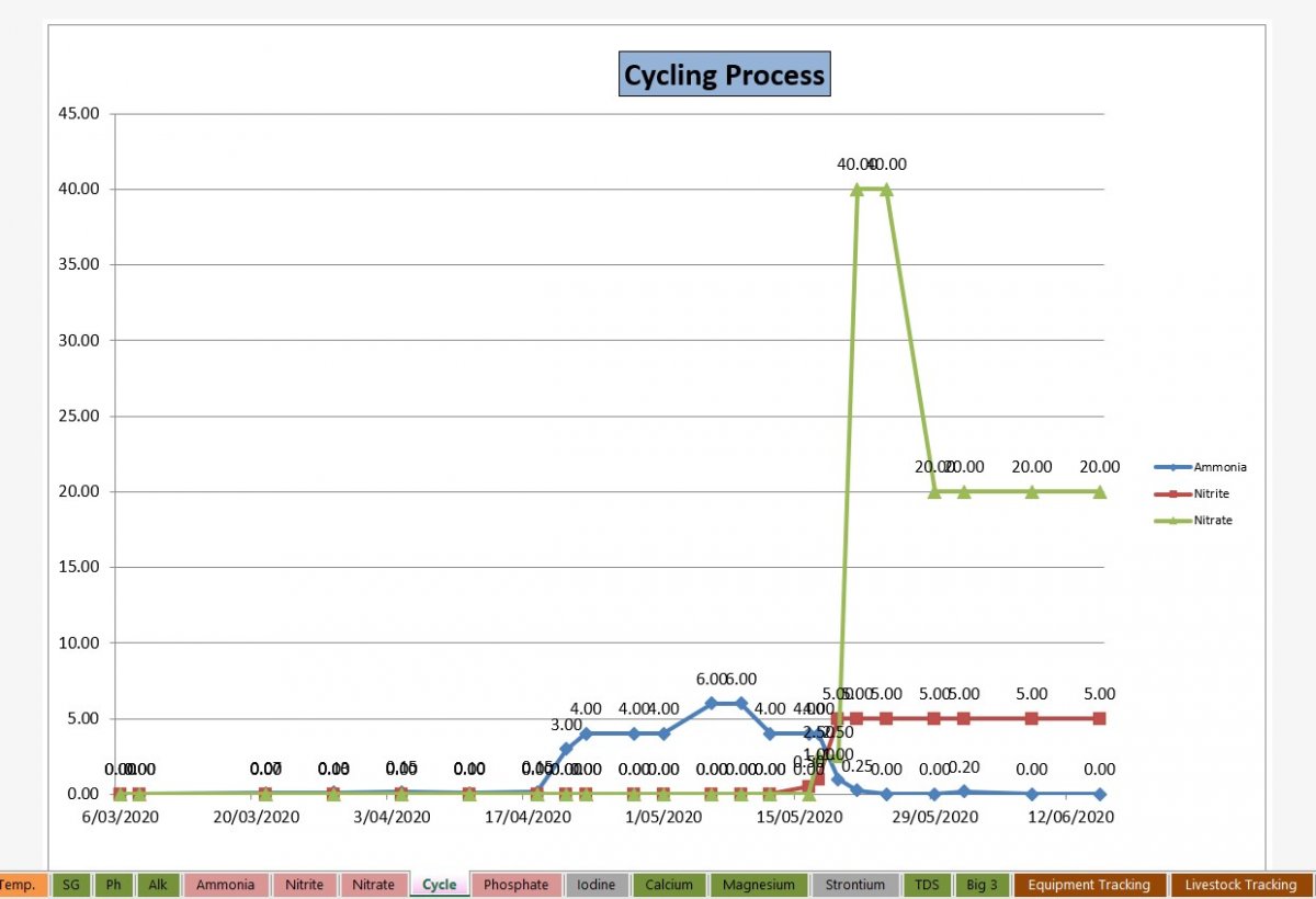 Cycle Process 14-6-20.jpg