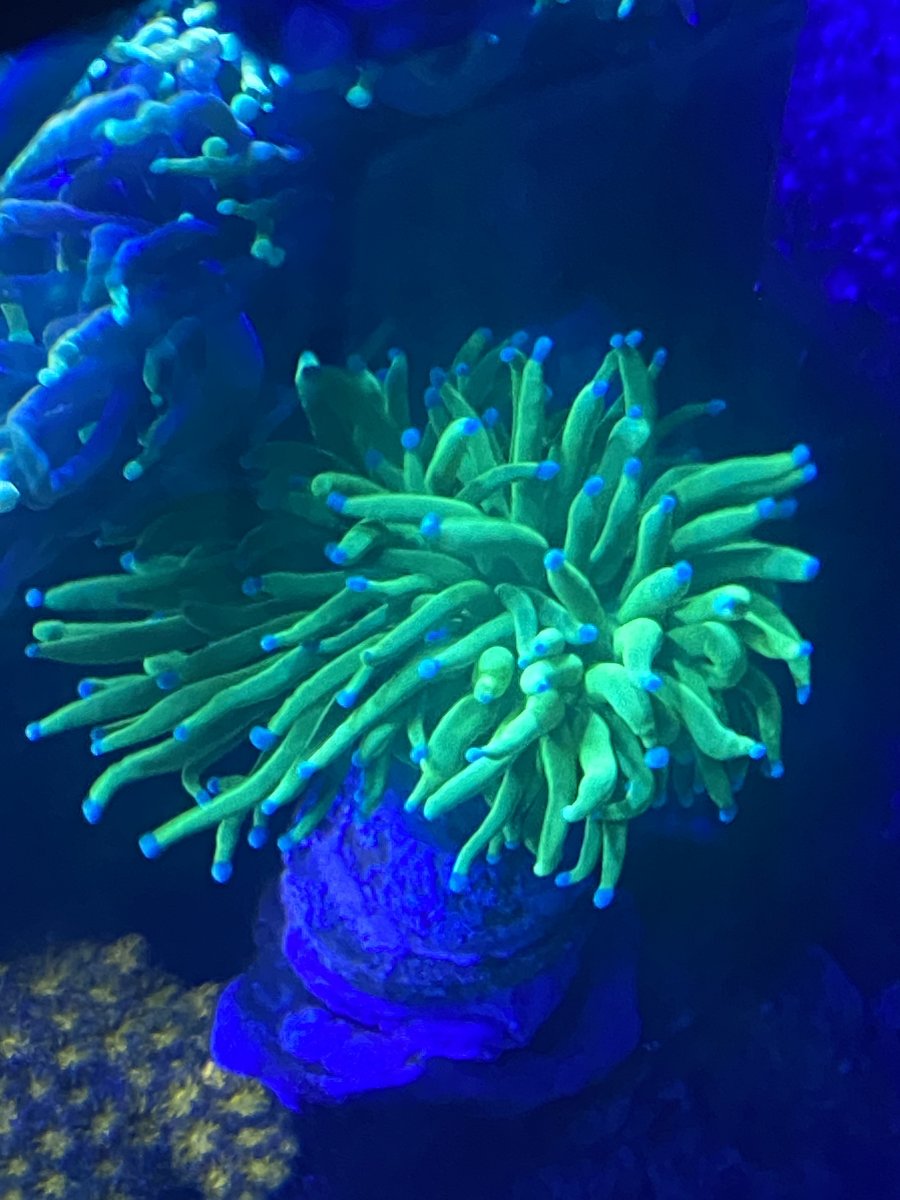 D017D12F-C142-4DE4-96B8-53A21C375FF1.jpeg