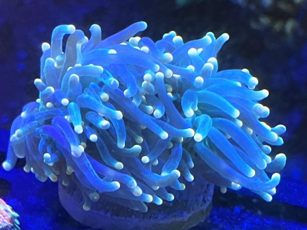 D073574A-8EC5-4F77-A001-B91E8FF2A0D1.jpeg