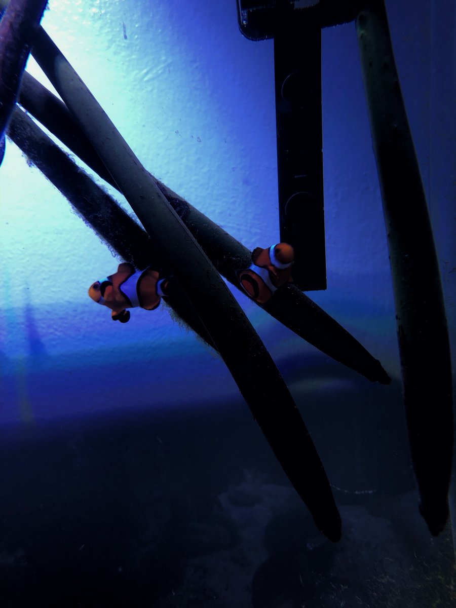 D1099500-5483-4BB3-BC52-031891DDCB32.jpeg