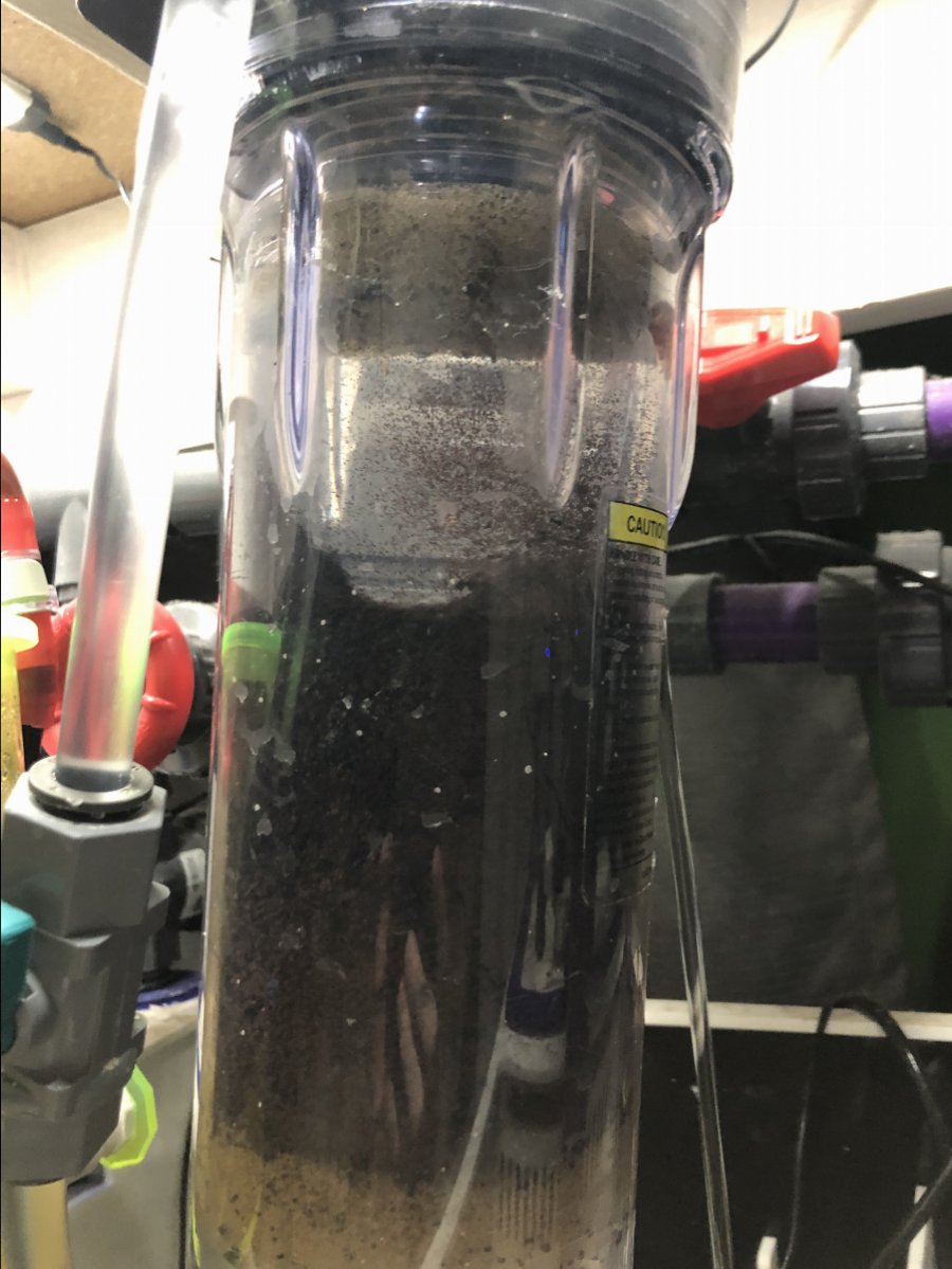 D12F079D-E041-4D3A-9564-4FF62EA5C250.jpeg