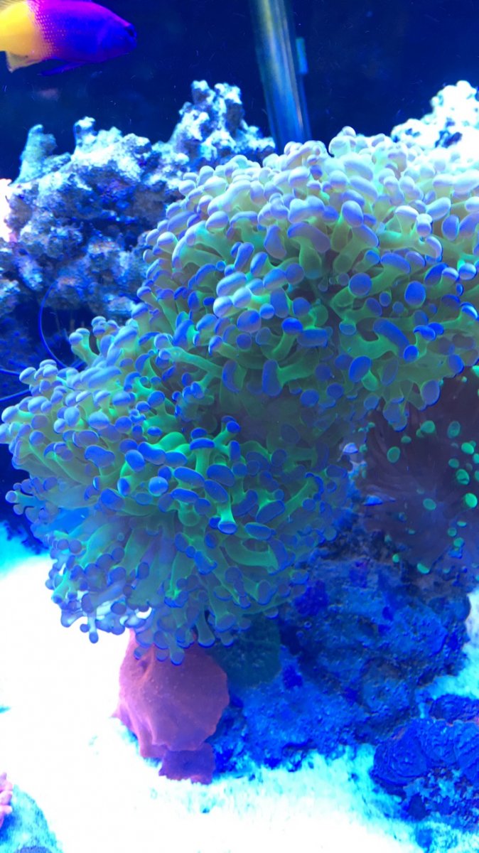 D160899F-C09B-466D-8100-E084F322A698.jpeg