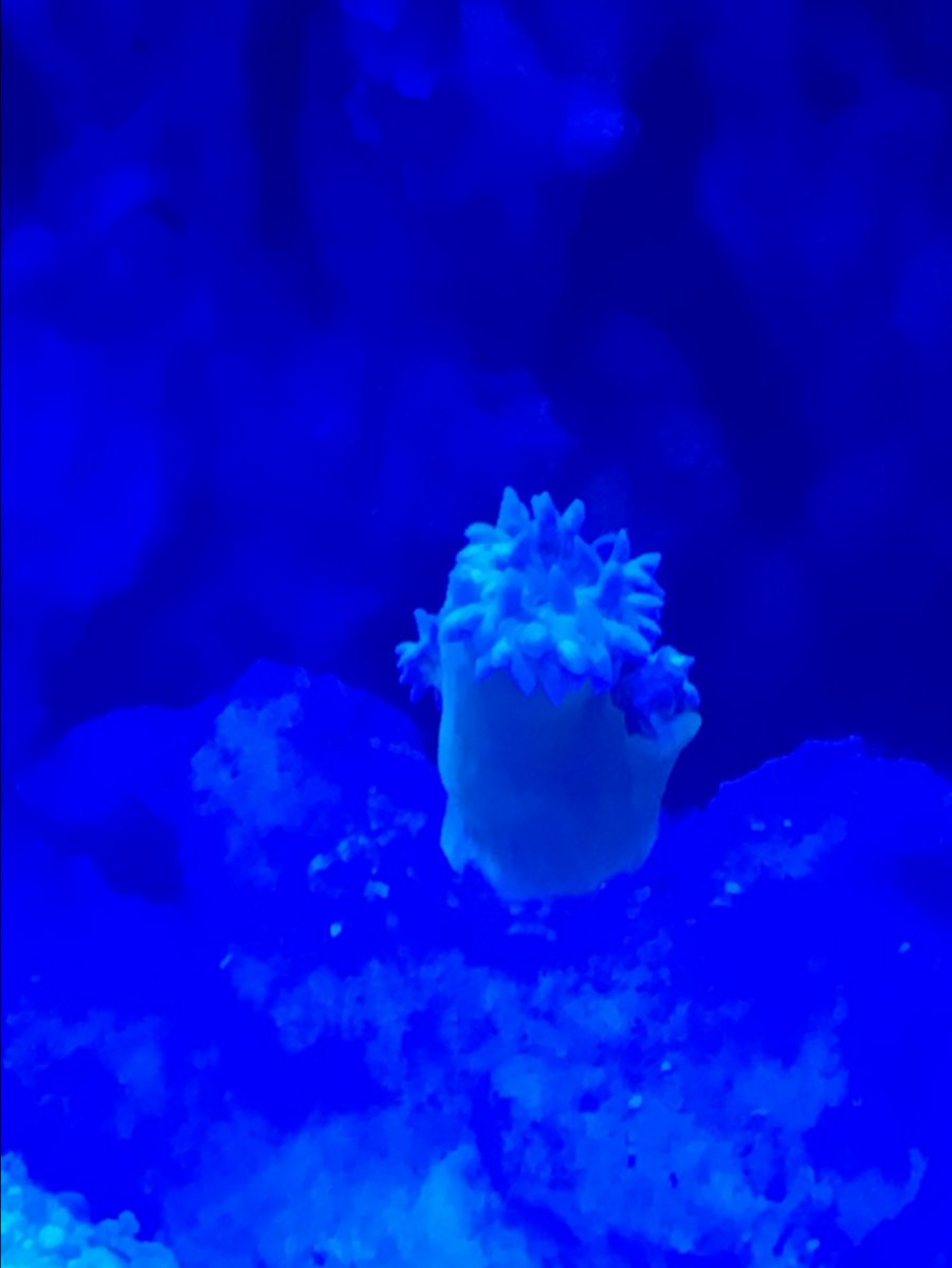 D1B7FA14-E978-4CDB-ACB1-C2AE3EB696E4.jpeg