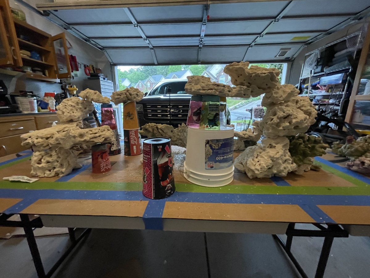 D2130607-E768-4712-9D51-F0233F89D105.jpeg