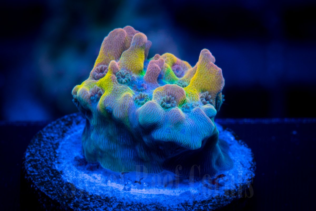 D27E34AD-AC80-4EDA-B4B3-811FF1E9BE90.jpeg