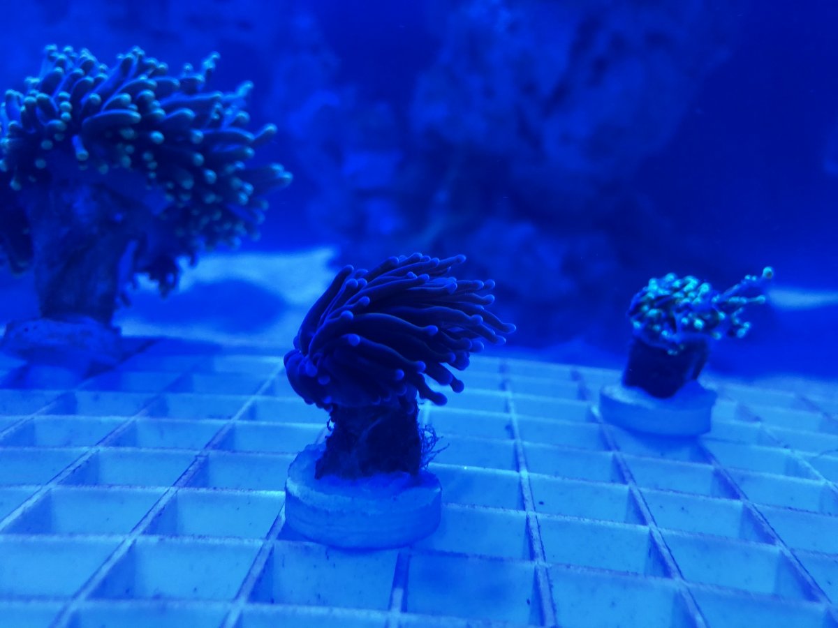 D2913414-E2E2-402A-8024-777C7EEF7D5D.jpeg