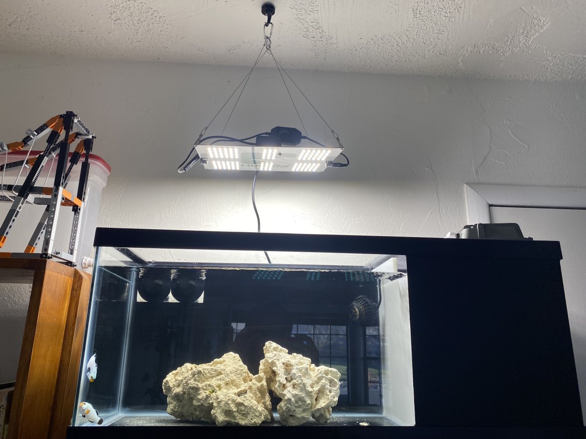 Build Thread MoshJosh s DIY 20 gallon AIO sump w unconventional lighting. . Reef2Reef
