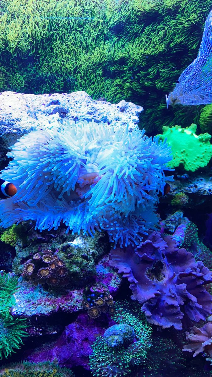 D4173393-7DBA-4CD9-83B4-D0573BAAE286.jpeg