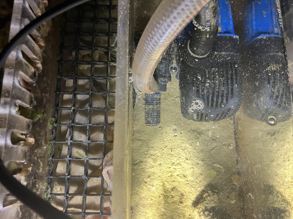 Opinion/rant: Sump designs are overcomplicated | Page 6 | Reef2Reef
