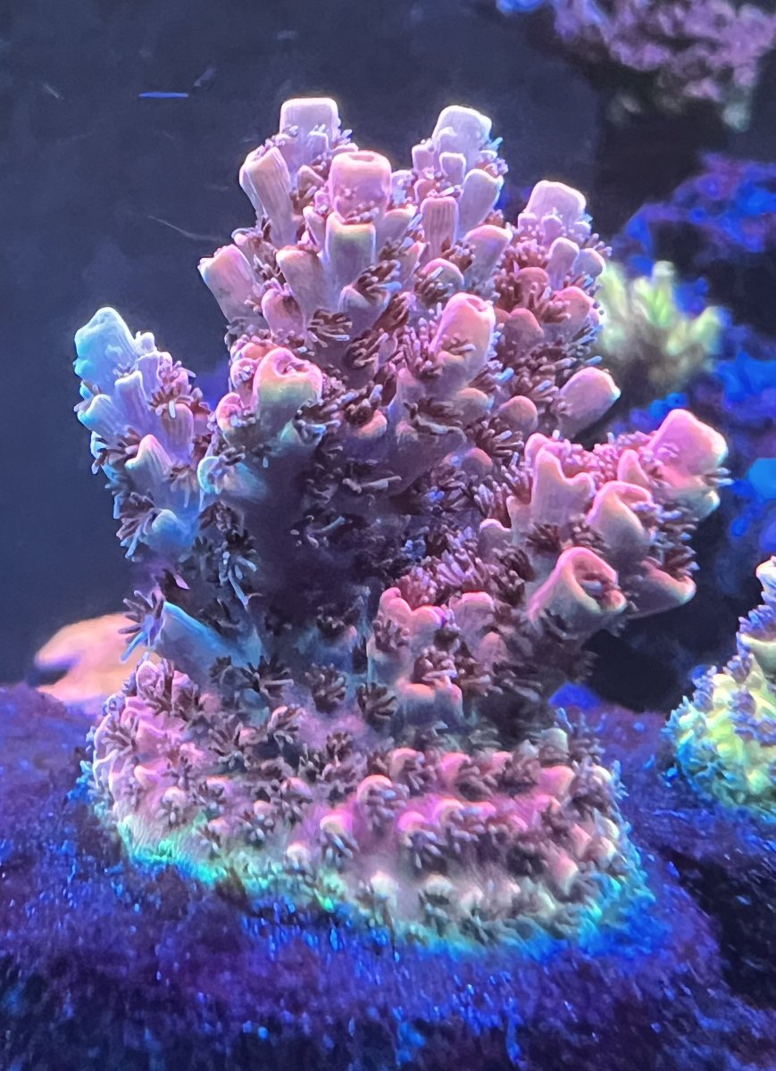 D460B25D-0D71-41AB-B4B5-73A6EB8D0CA8.jpeg