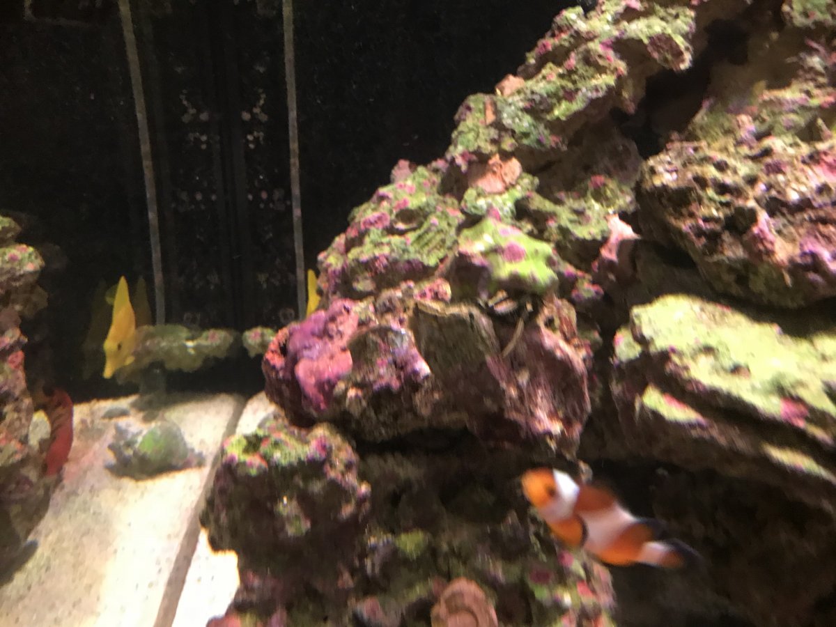 D46FA064-ED95-4B4B-A4E6-E5EEC11B1618.jpeg