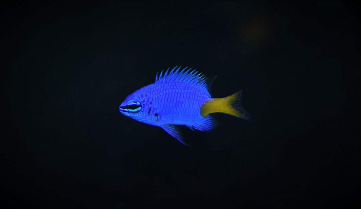 D4E13322-D867-43EB-8567-9D6424815DF3.jpeg