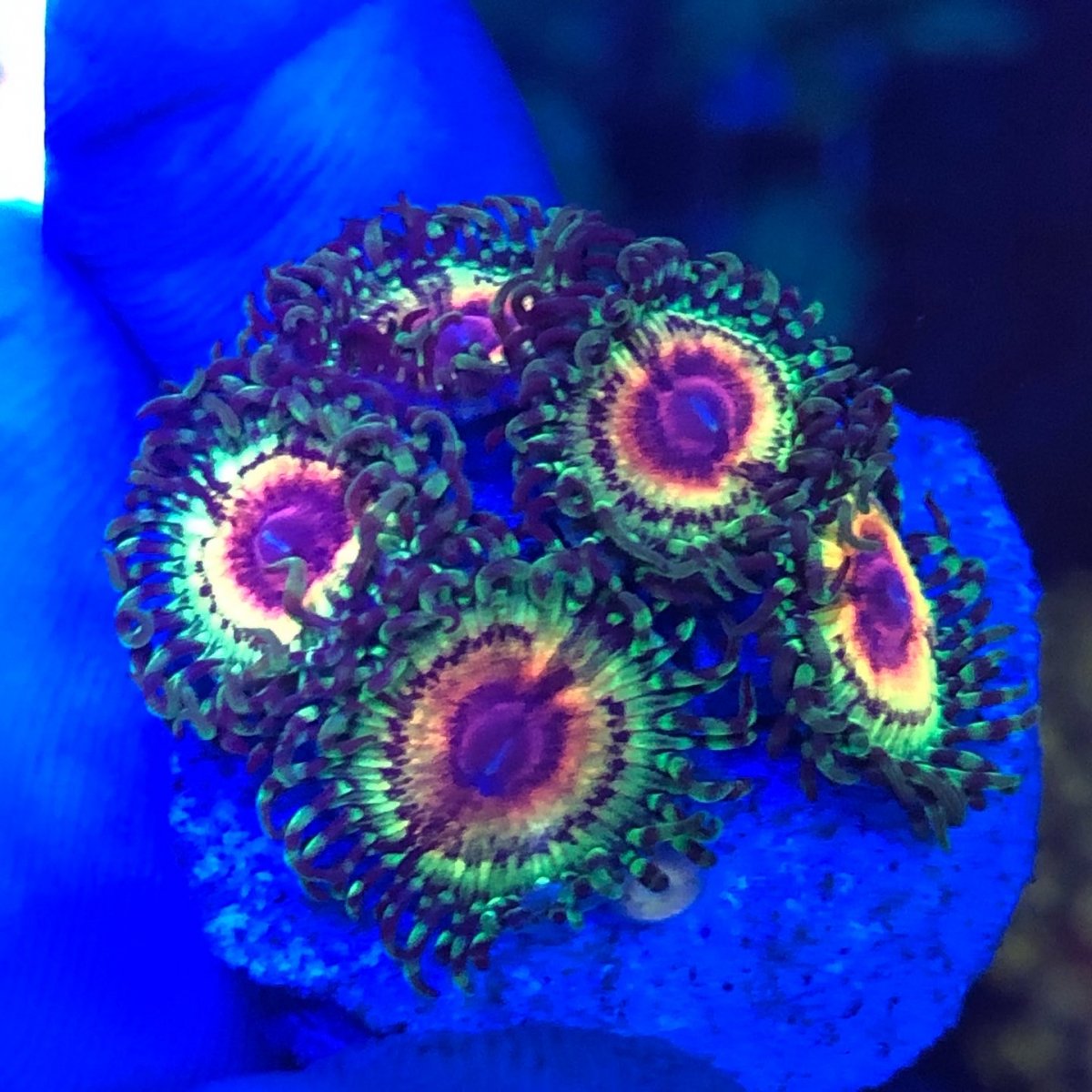 D50EE675-5C0B-4F7D-A18D-D4E6F25DCF7E.jpeg