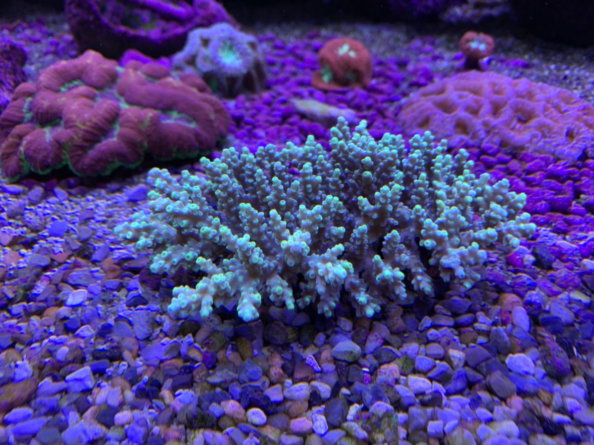 D514C4E9-CF69-4ED1-B266-6C17D70F6EDD.jpeg