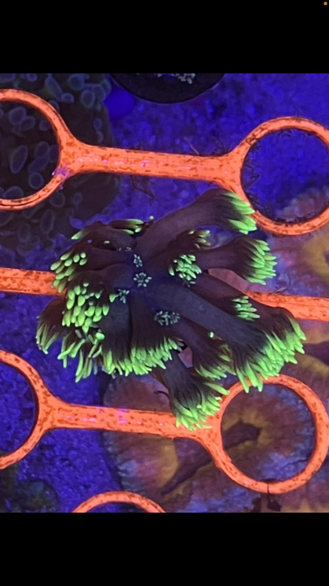 D5B193DF-0F2B-41F5-ABFA-8F258DFFDA40.png