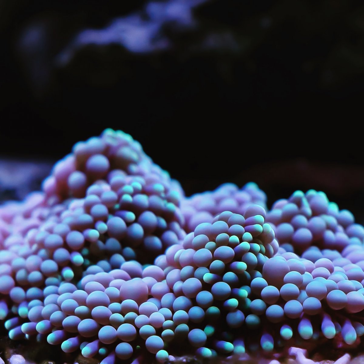 D5E41E5E-EB56-48A0-8FED-382200BE6044.jpeg