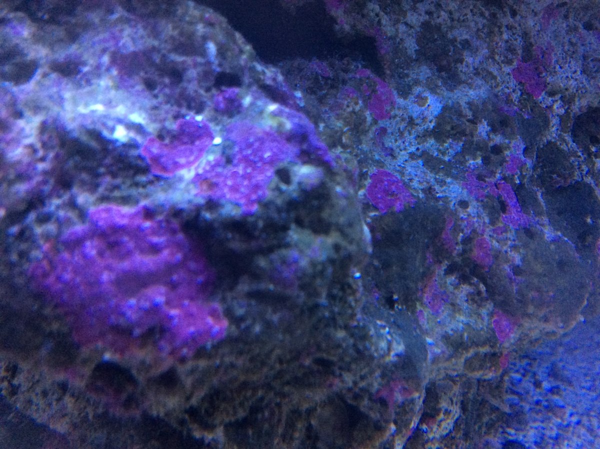 D60D0C4D-BC0E-495D-BE35-7BD9FD7EF781.jpeg