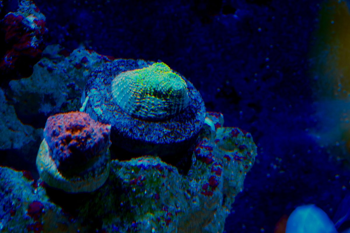 D6803C6B-D08A-46A6-8E82-97C52EB9E5EB.jpeg