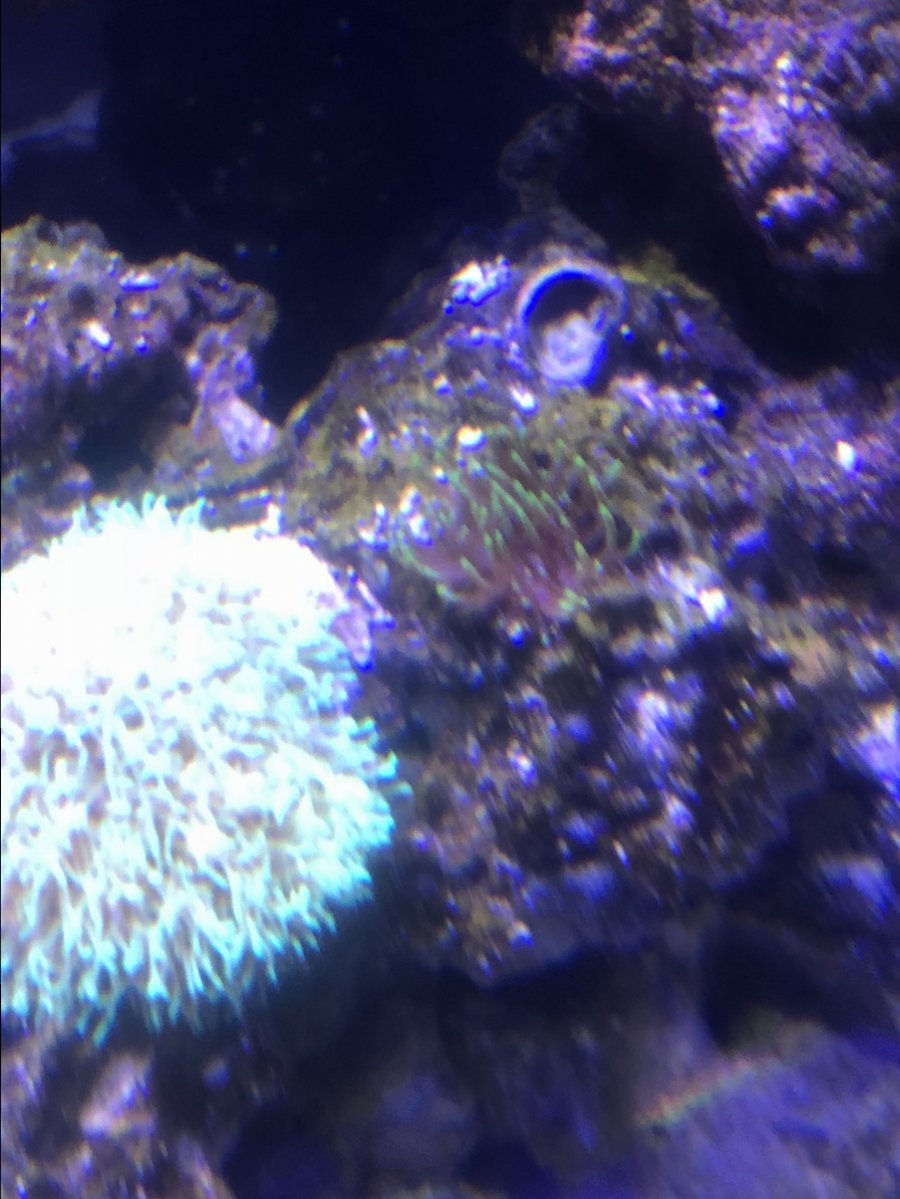 D7C810D6-2D52-46B2-A11C-69AC823D4AA9.jpeg