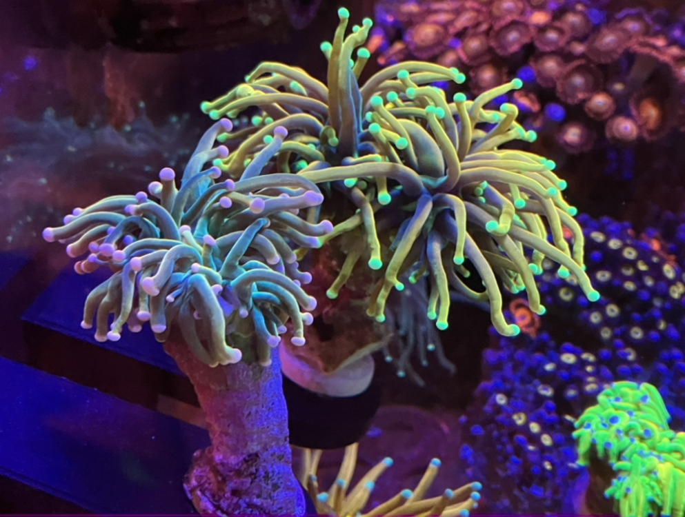 D7D43D4B-6177-4508-A37F-0FC0E46C545D.jpeg
