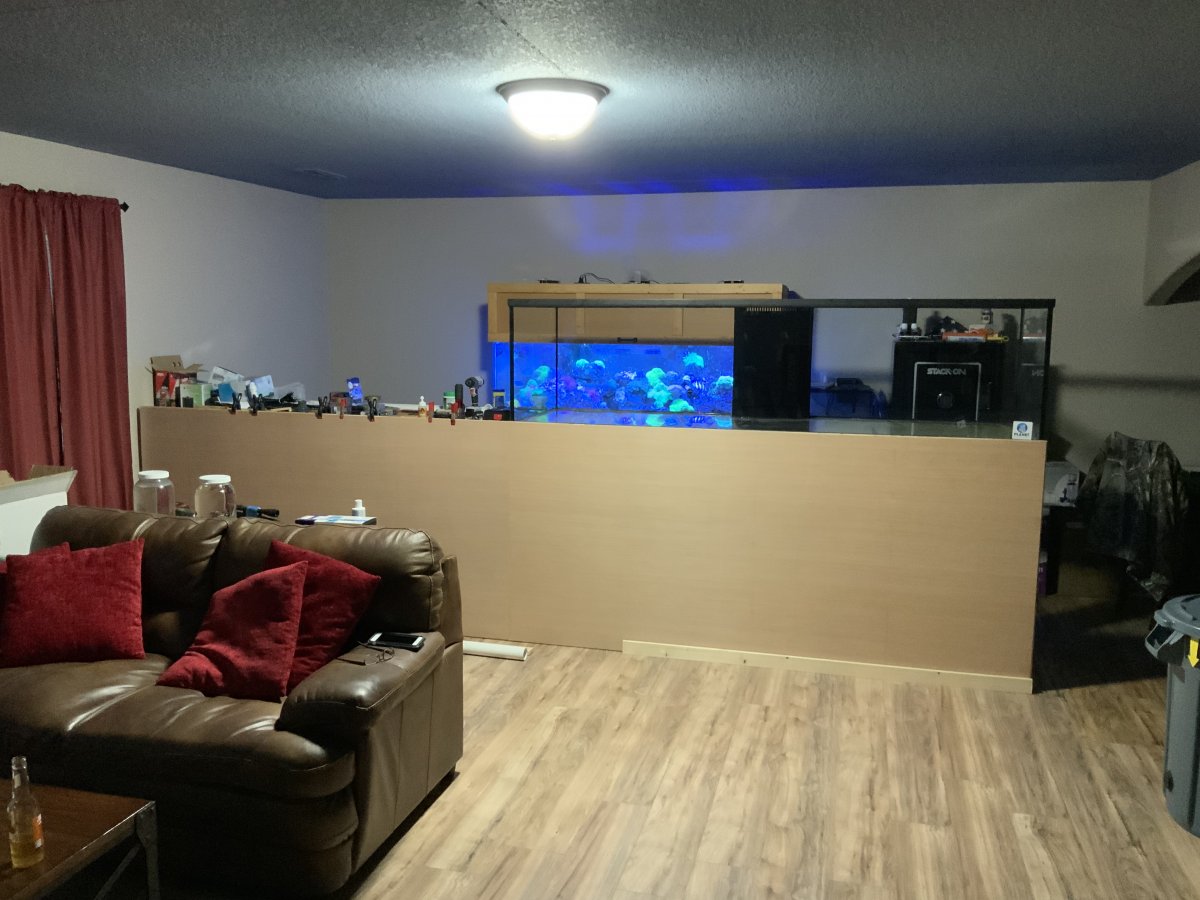 D82FFA5A-123D-4331-8B93-E695F2BD70D7.jpeg