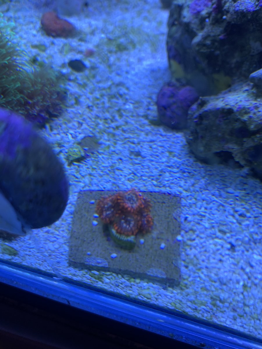 D84A7170-C82E-410A-8F3D-83AEDCEDE6D2.jpeg