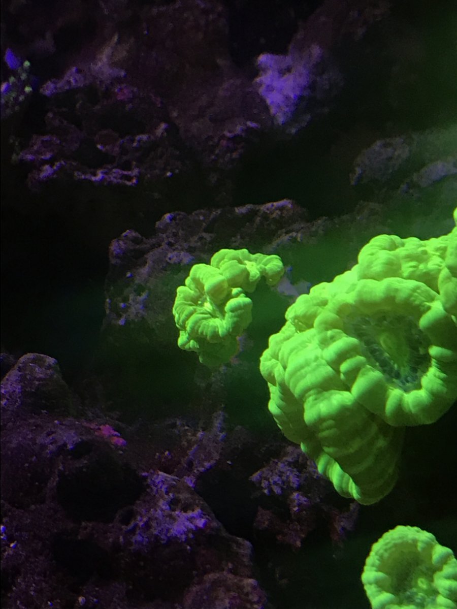 D8505D1B-0E6A-43C0-AAB7-2A33FEAFB7E4.jpeg