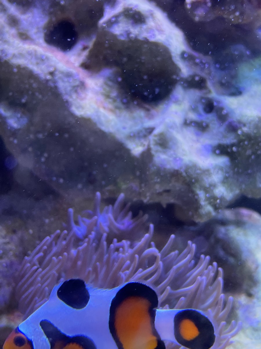 D8625F16-571B-4467-9395-4C25D845711E.jpeg