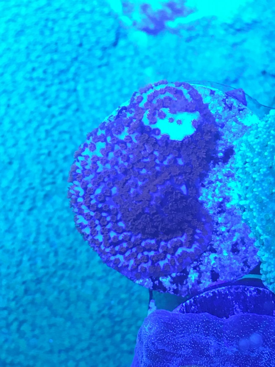 D973276E-A5BA-4857-8374-4D1B07EC0957.jpeg