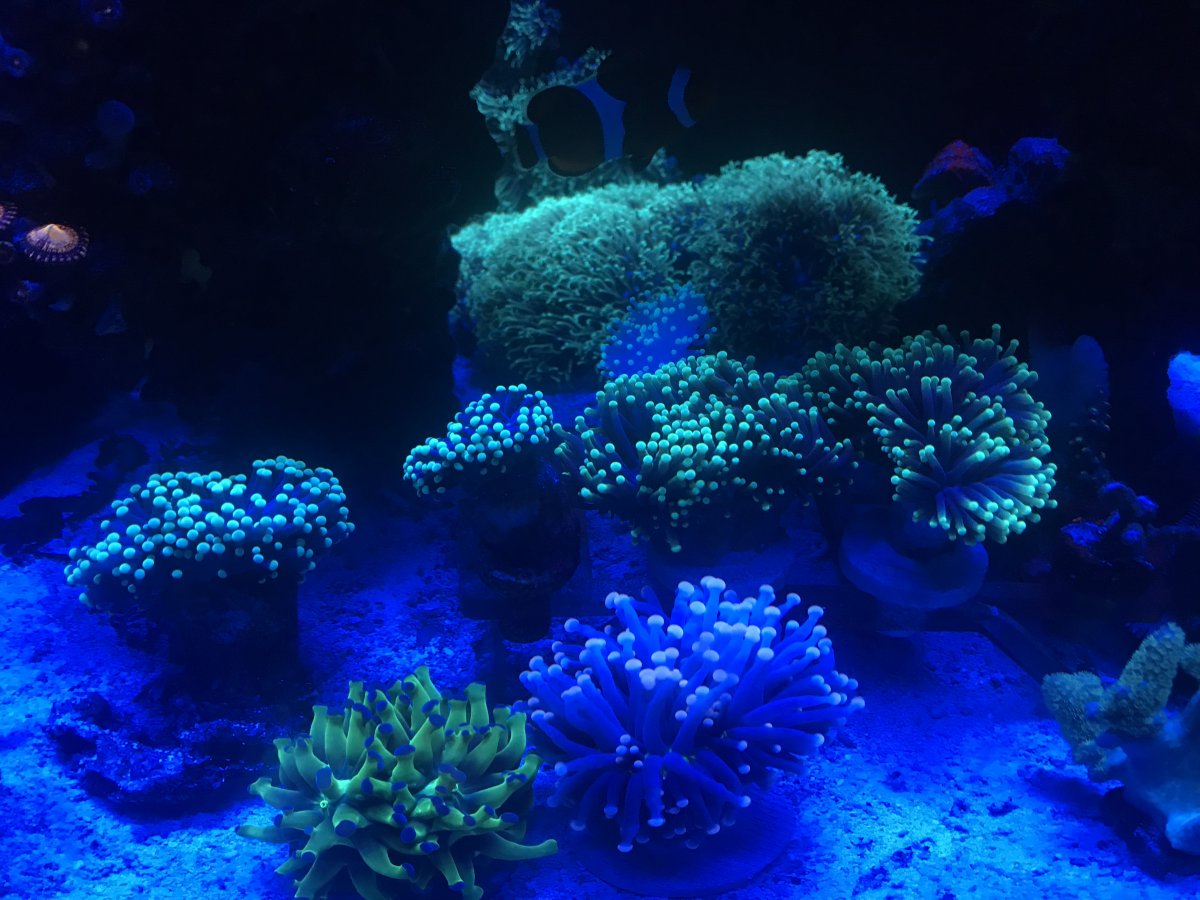 D9811207-9F12-42B1-B7D4-3A7FD2B96D77.jpeg
