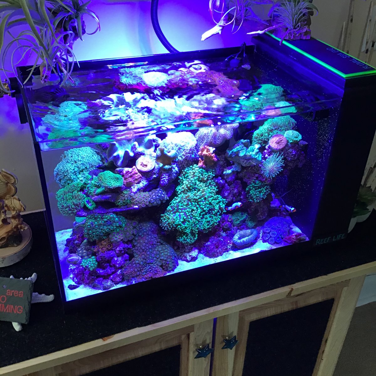 Can I use plexiglass as an aquarium lid?