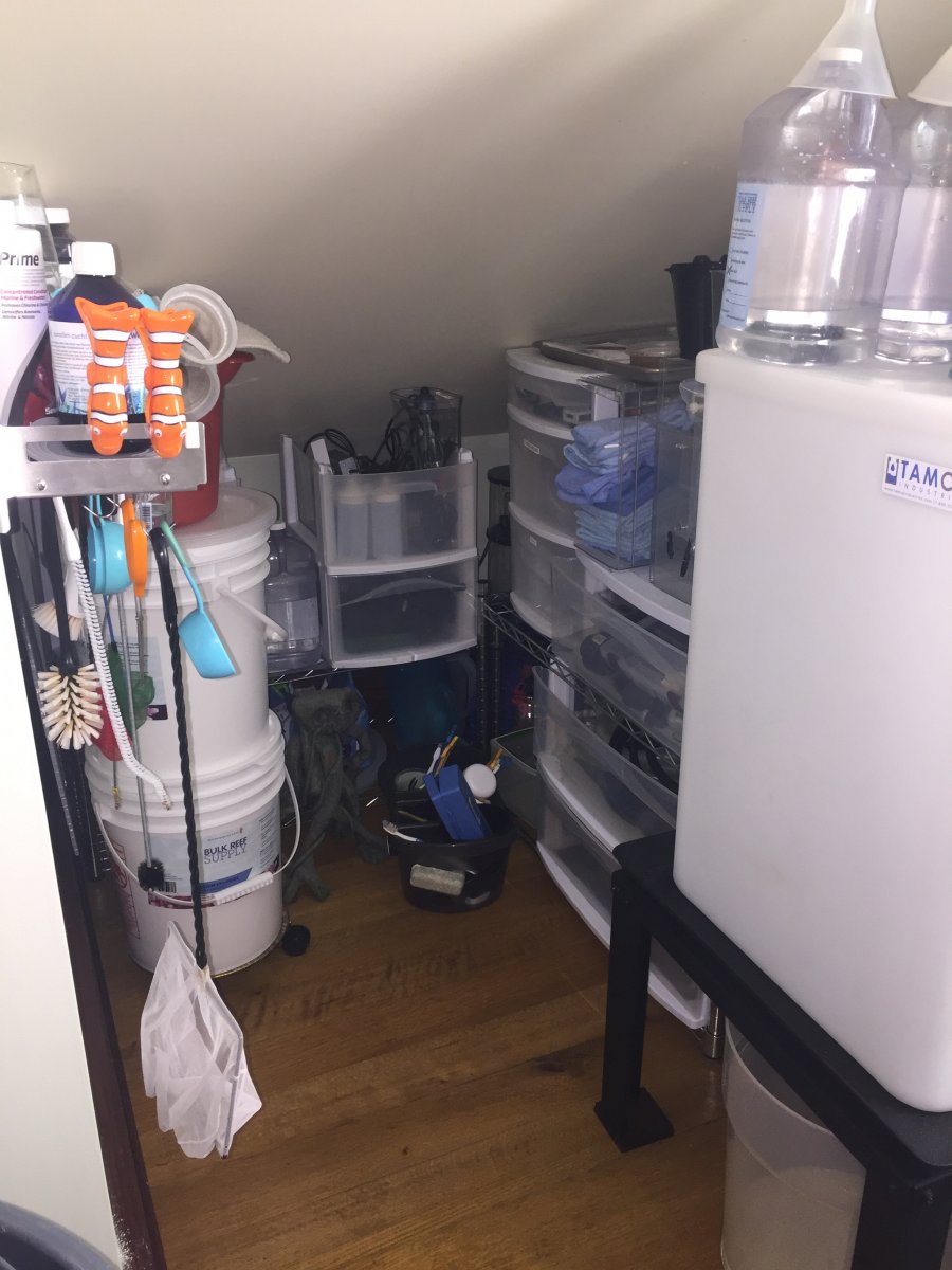 DAE850E7-052B-4E8A-A52F-FA89DC44D7F3.jpeg