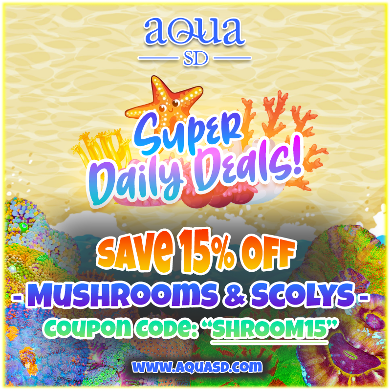 Daily-mushrooms-scolys.png