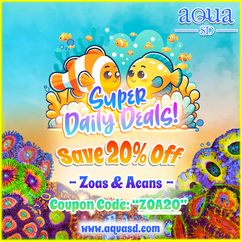 Daily-zoas-acans.png