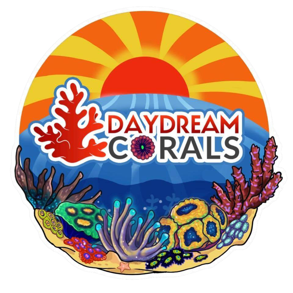 Daydream Corals Logo.png