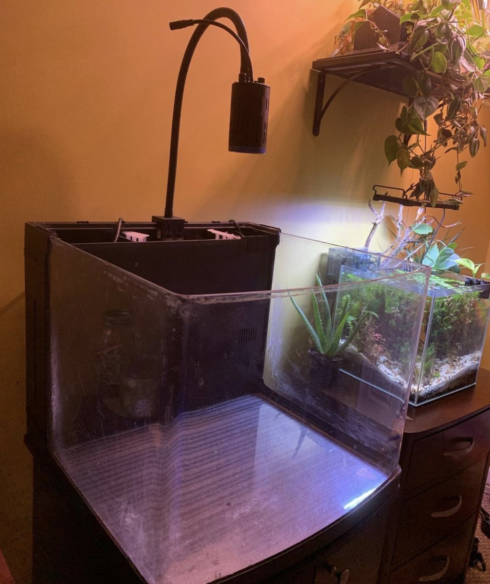Build Thread Maxed out Oceanic Biocube 29 REEF2REEF Saltwater