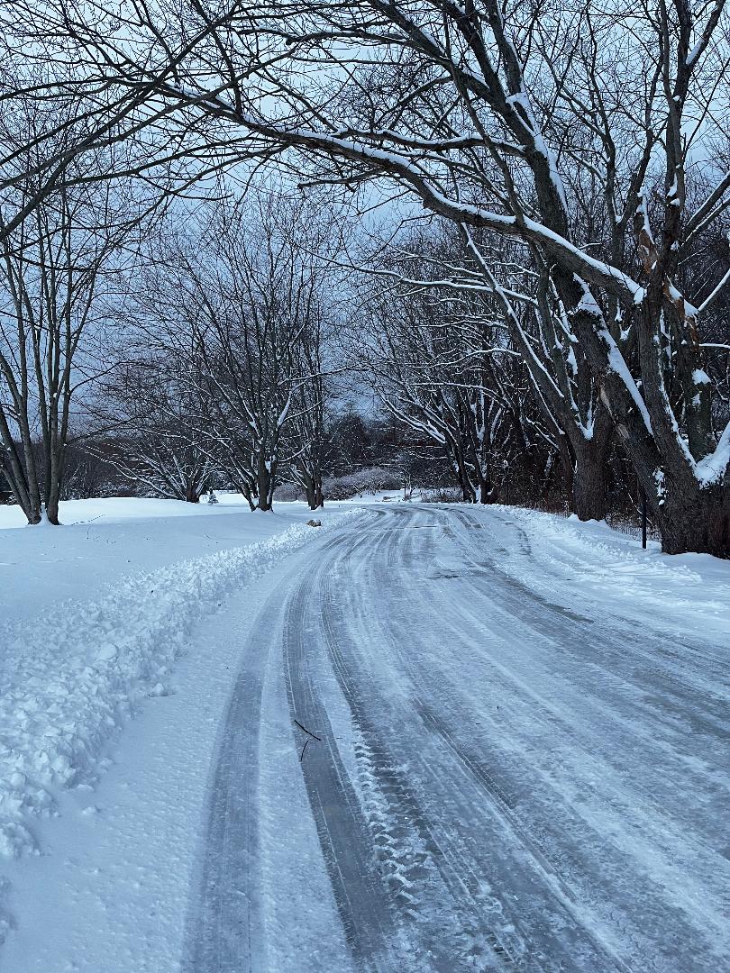 Dec Snow.jpg