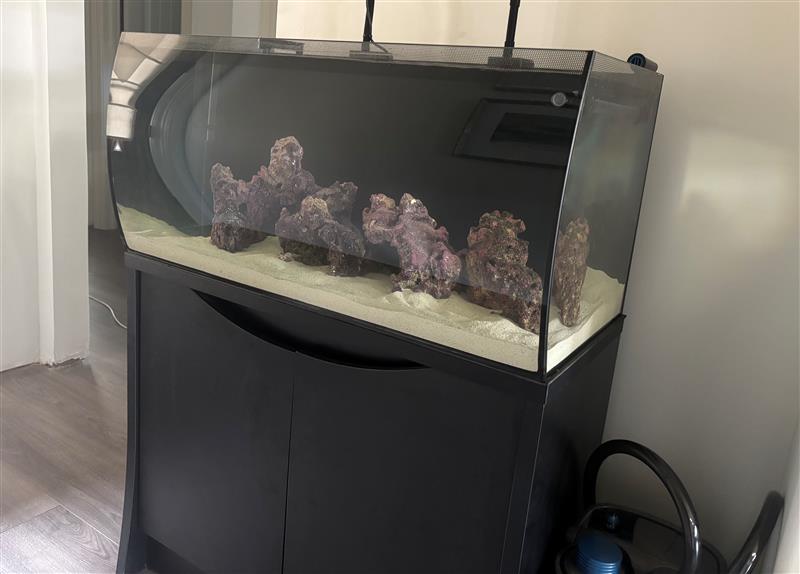Seeding New Tanks with Old Tank Rockscape + Ammonia/MicroBacter | Reef2Reef