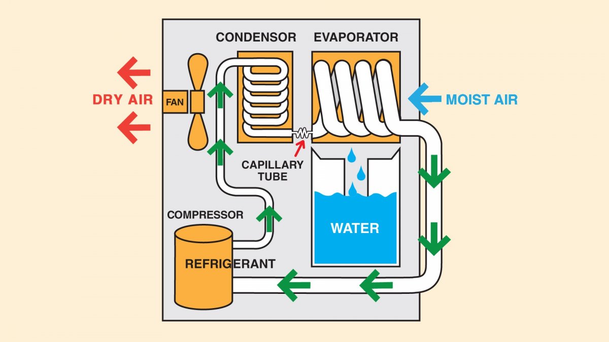 dehumidifier.jpg
