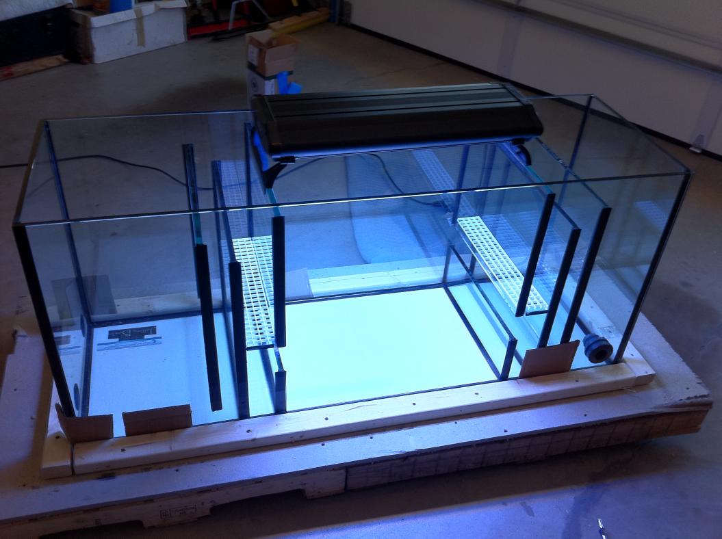 Where to buy Large Rimless Tanks | Page 2 | Reef2Reef