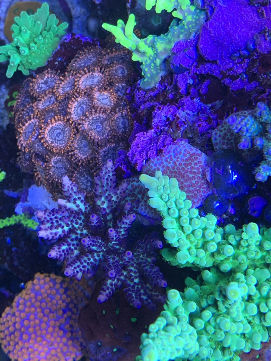 DF5590B9-A822-4670-A0C8-6782D32471D2.jpeg