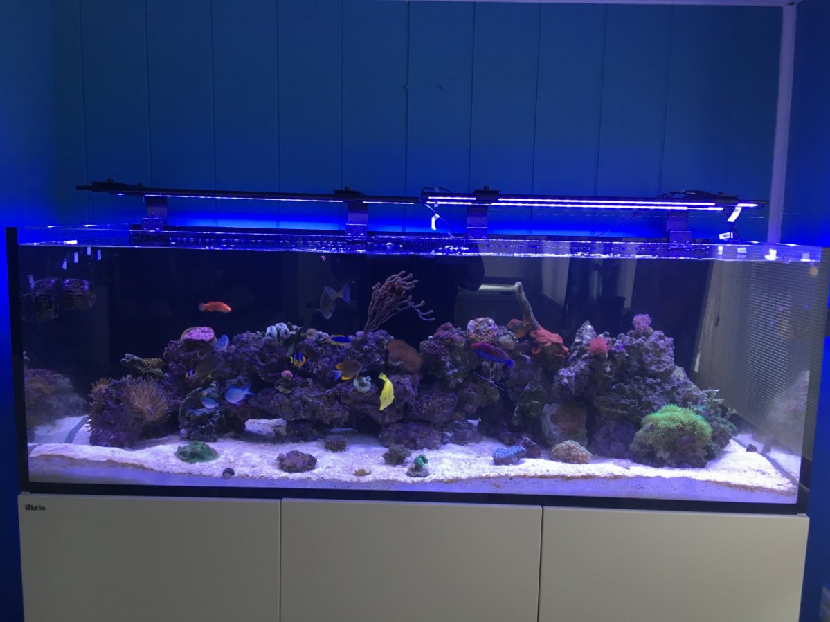Reefer Tank Weights Reef2reef Saltwater And Reef Aquarium Forum