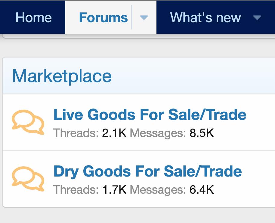 DFWMAS Forum Marketplace Live and Dry Threads Image.jpg