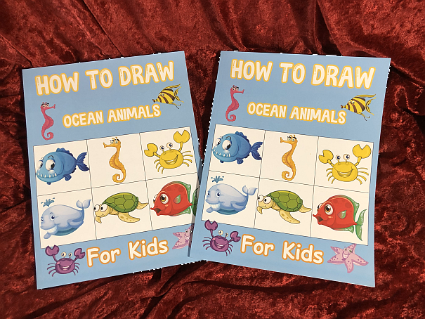 DFWMAS Member Donation of Kids Books How to Draw smaller.png