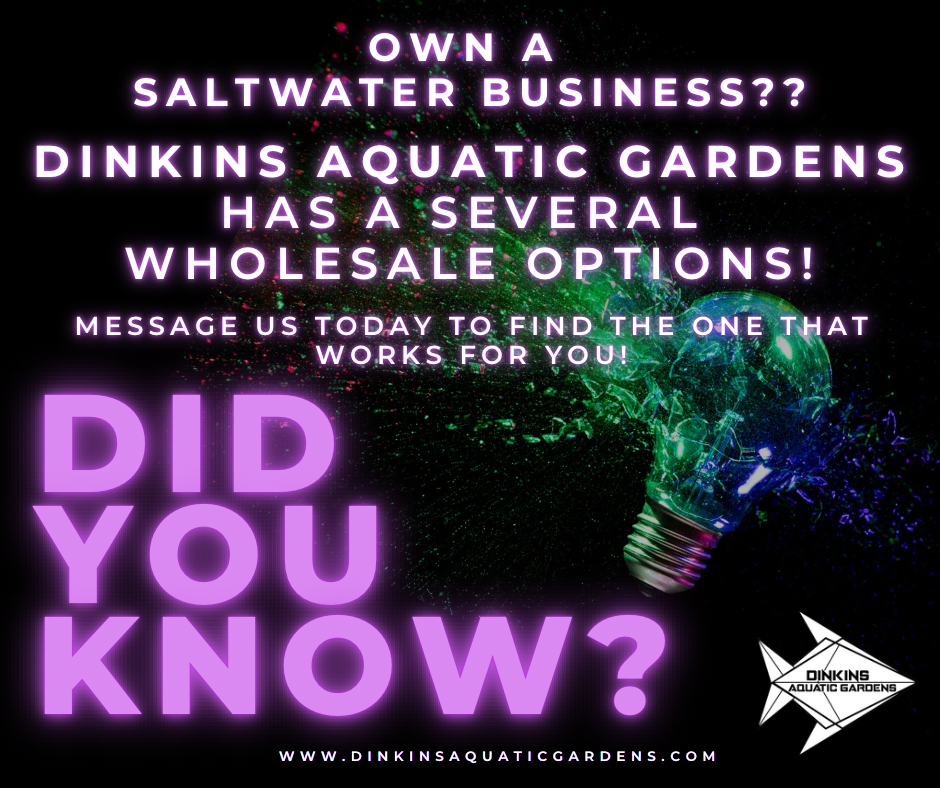 Did you Know?.png