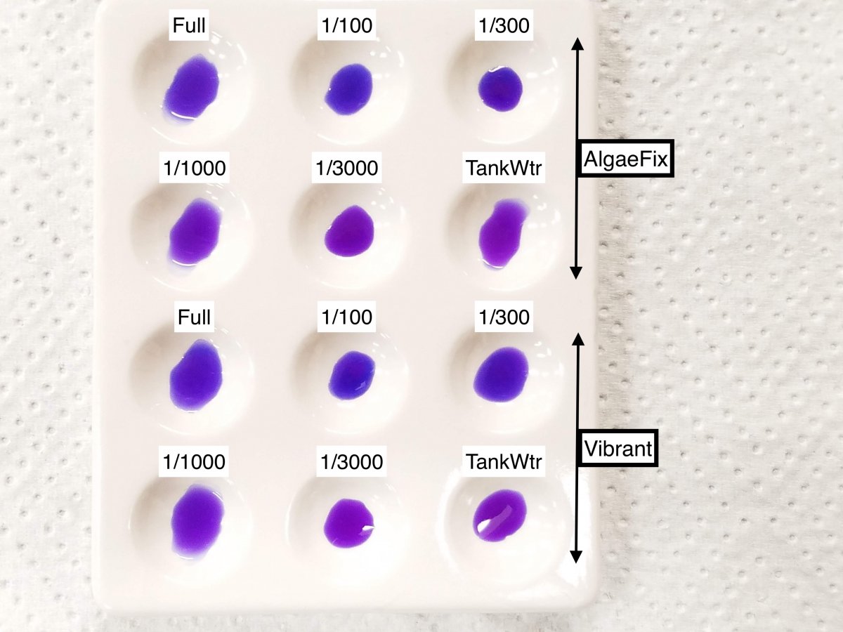 Dilutions2.jpg