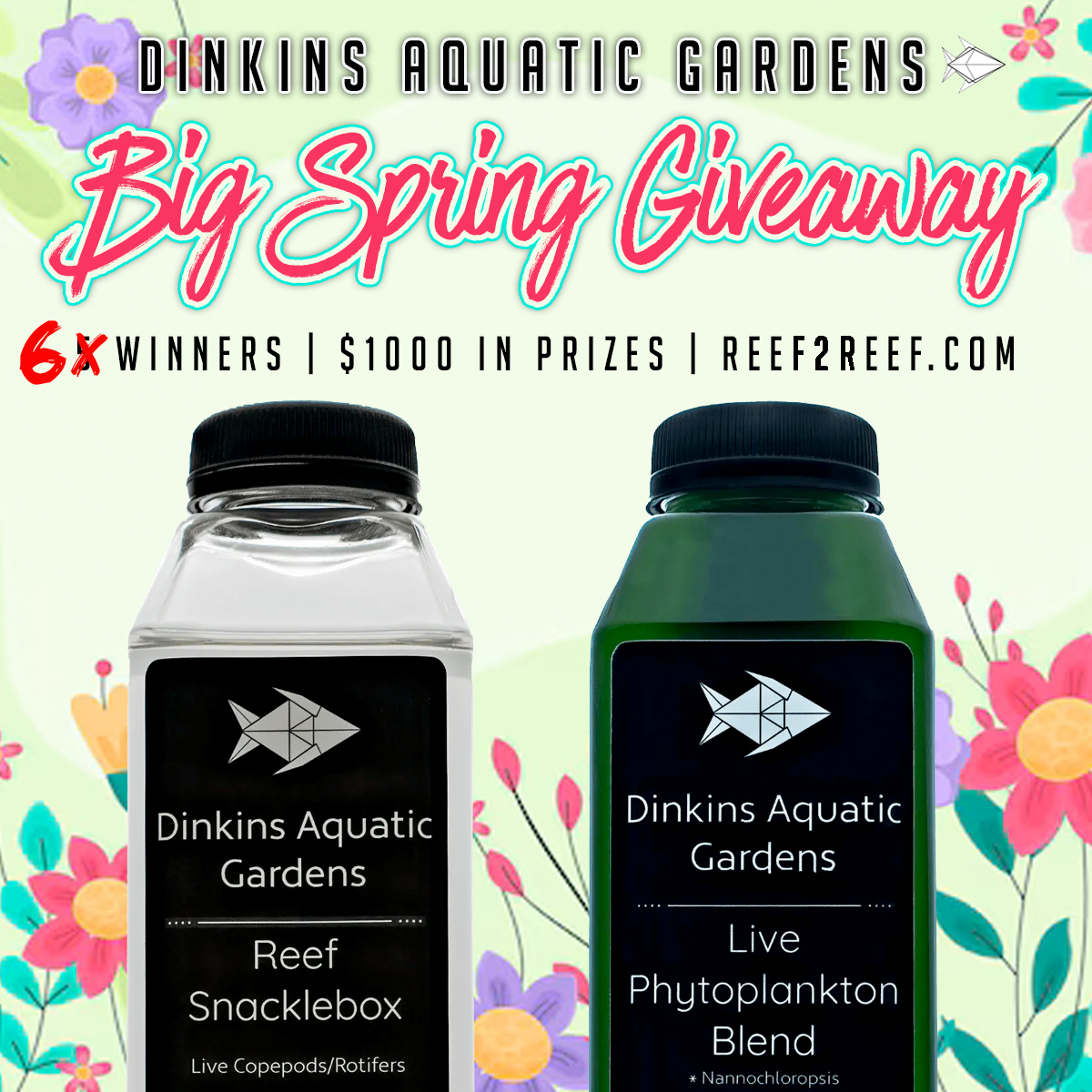 dinkins aquatic gardens 3 giveaway.png